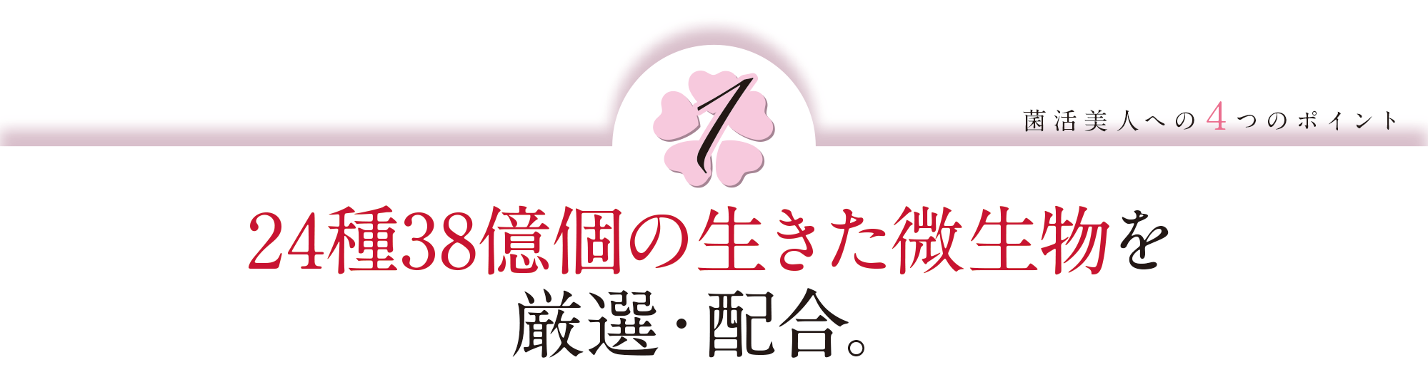 菌活美人への4つのポイント①:24種38億個の生きた微生物を厳選・配合。