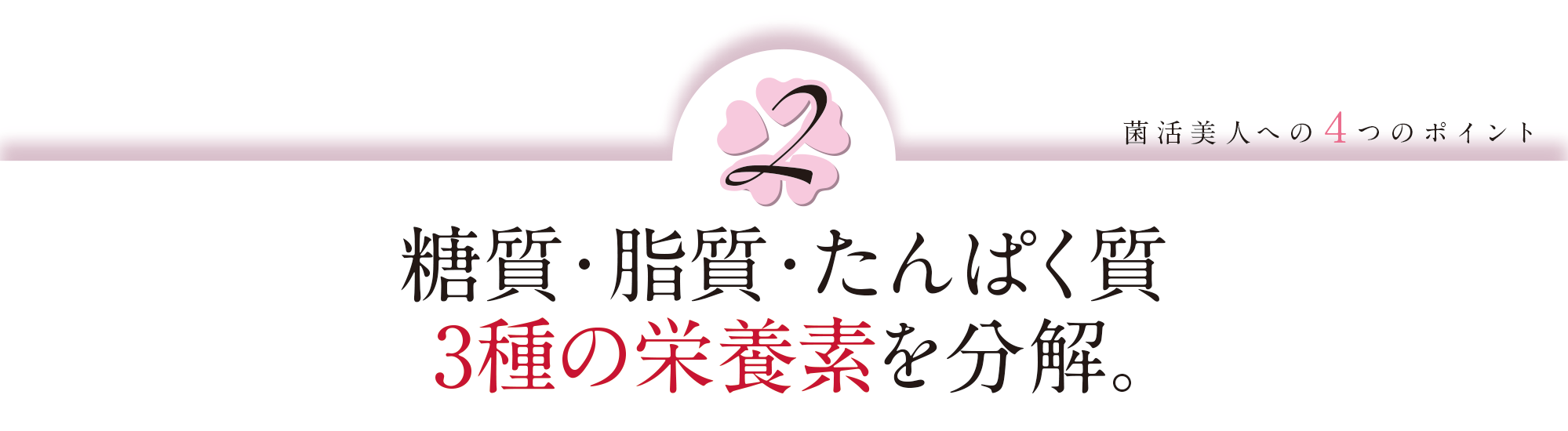 菌活美人への4つのポイント②:糖質・脂質・たんぱく質 3種の栄養素を分解。